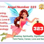 323 angel number