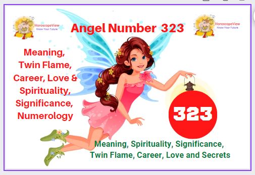 323 angel number