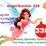 338 angel number