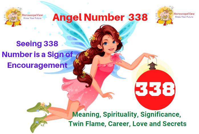 338 angel number