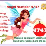4747 angel number meaning