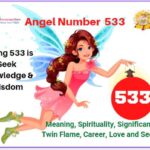 533 angel number meaning