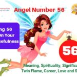 56 Angel Number