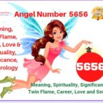 5656 angel number meaning