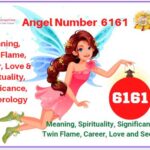 6161 angel number