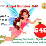 646 angel number meaning