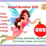 655 angel number meaning