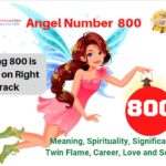 800 Angel Number