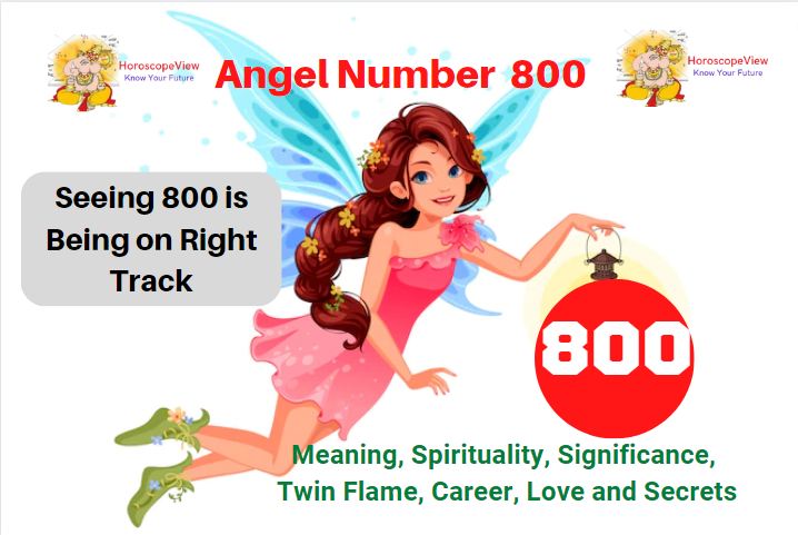 800 Angel Number