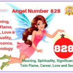 828 angel number