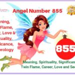 855 Angel Number