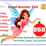858 Angel Number