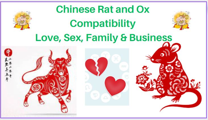 Chinese Rat and Ox Compatibility