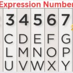 Expression Number
