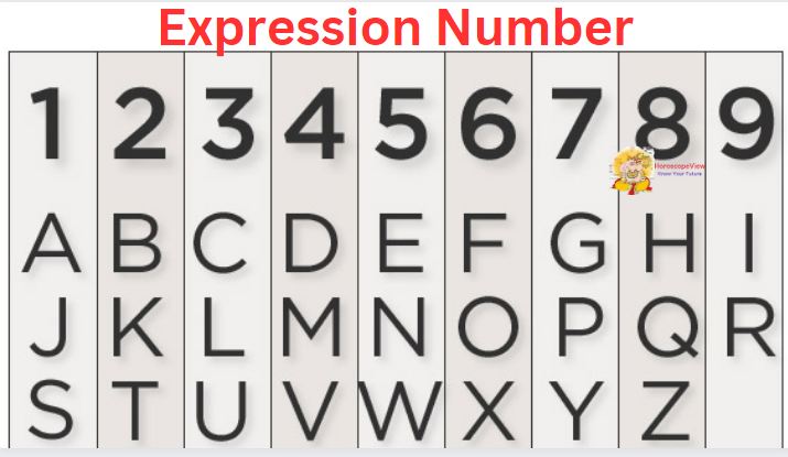 Expression Number