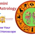 Gemini Health