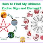 my chinese zodiac sign and element