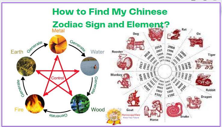 my chinese zodiac sign and element