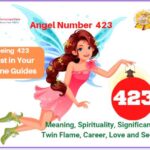 423 angel number