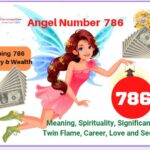 786 Angel Number