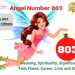 803 angel number