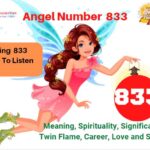 833 Angel Number
