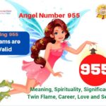 955 angel number