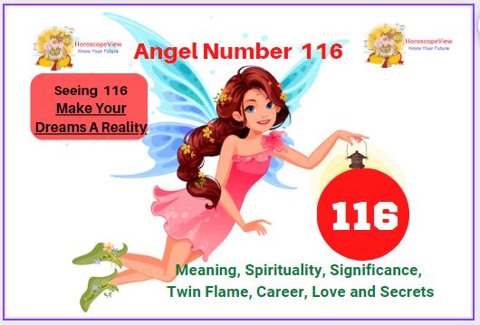 angel number 116
