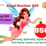 angel number 856