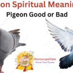 pigeon meaning spiritual