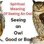 spiritual meaning of seeing an owl