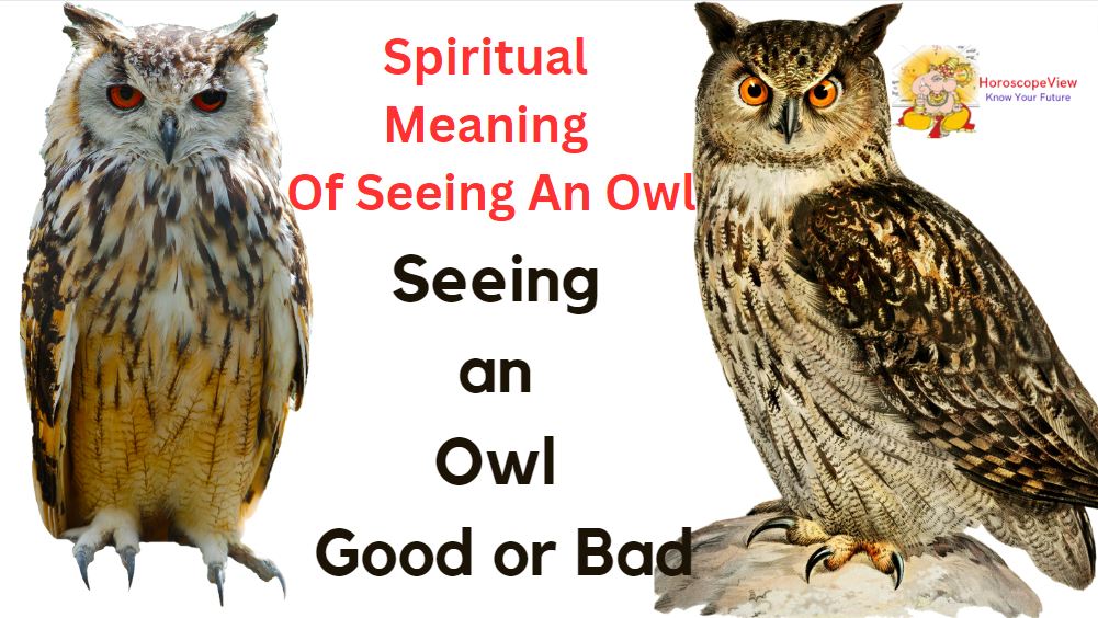 spiritual meaning of seeing an owl