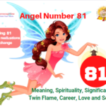 81 angel number