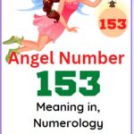 153 angel number