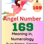 angel number 169