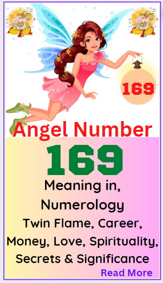 angel number 169