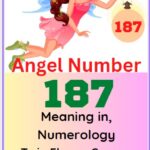 187 angel number