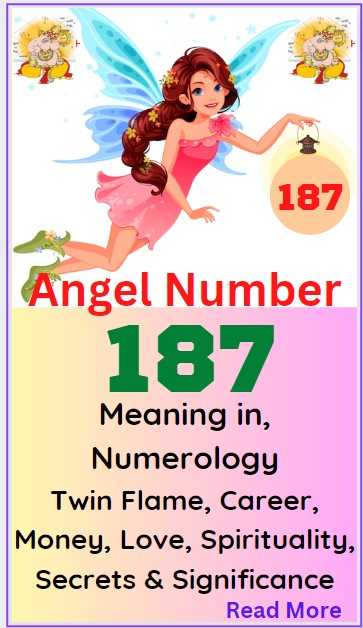 187 angel number