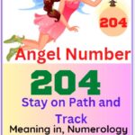 204 angel number