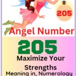 205 angel number