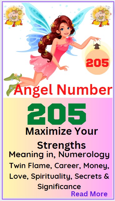 205 angel number