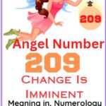 209 angel number