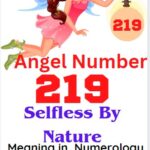 219 angel number