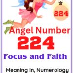 224 angel number