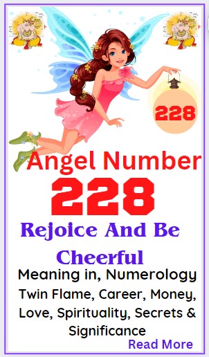 228 angel number