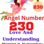 230 angel number