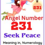 231 angel number