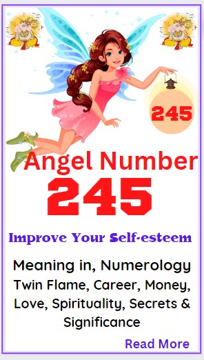 245 angel number