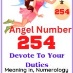 254 angel number