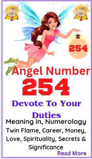 254 angel number
